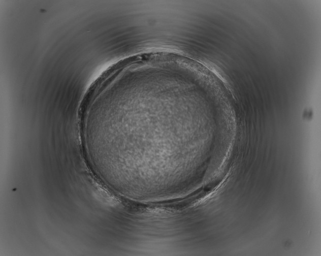 X0000090731022200708031519