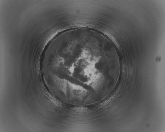 X0000090731023200708031519