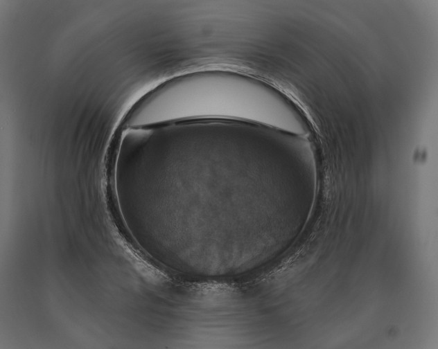 X0000090731024200708031519