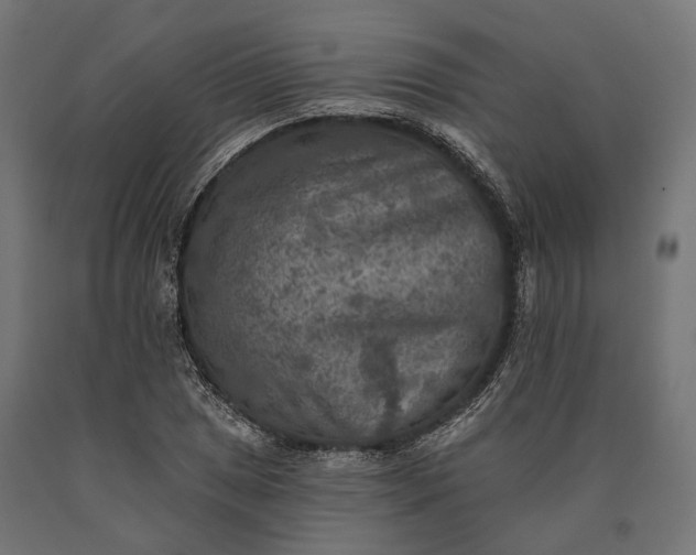 X0000090731025200708031519