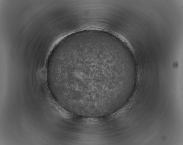 X0000090731027200708031519