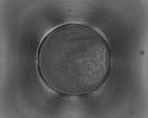 X0000090731028200708031519