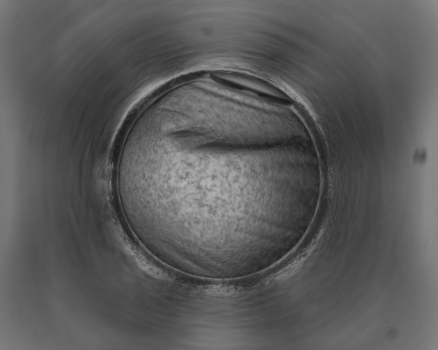 X0000090731029200708031519