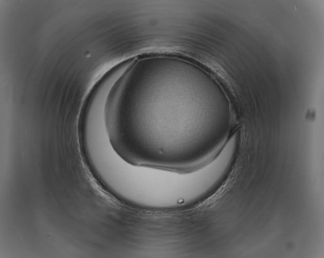 X0000090731030200708031519