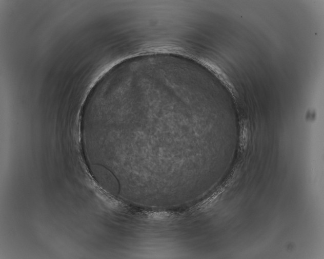 X0000090731031200708031519