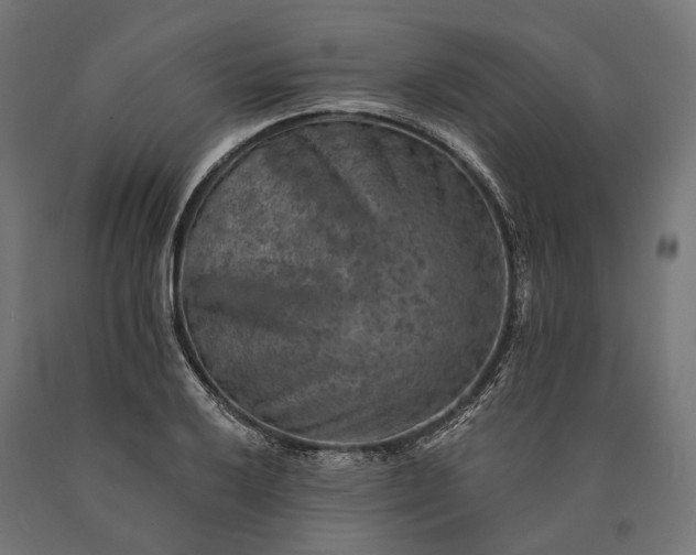 X0000090731032200708031519