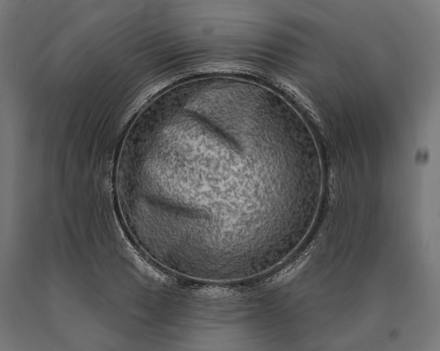 X0000090731033200708031519