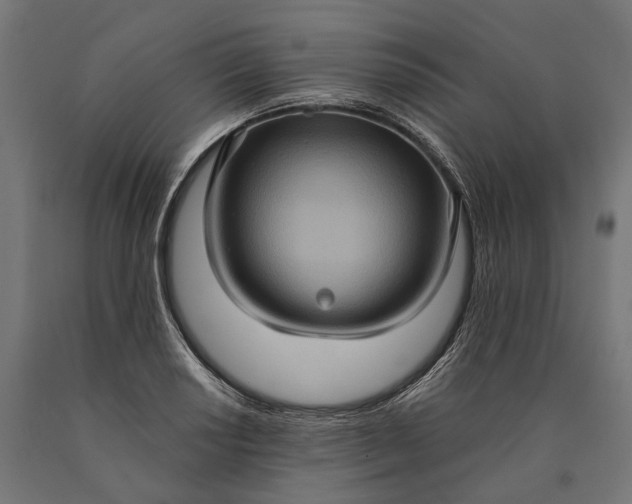 X0000090731034200708031519