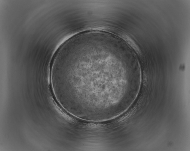 X0000090731036200708031519