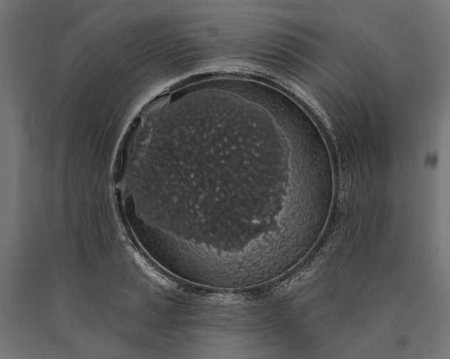 X0000090731037200708031519