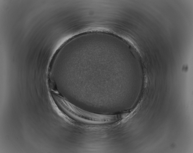 X0000090731038200708031519