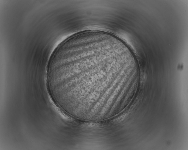 X0000090731040200708031519