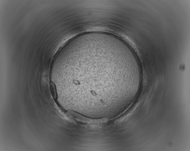 X0000090731041200708031519