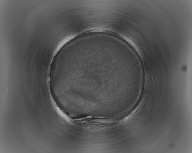 X0000090731042200708031519