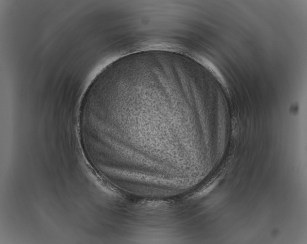 X0000090731043200708031519