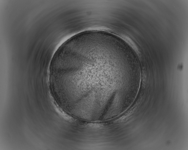 X0000090731044200708031519