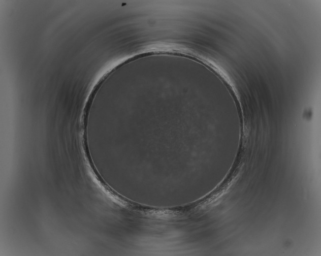 X0000090731045200708031519