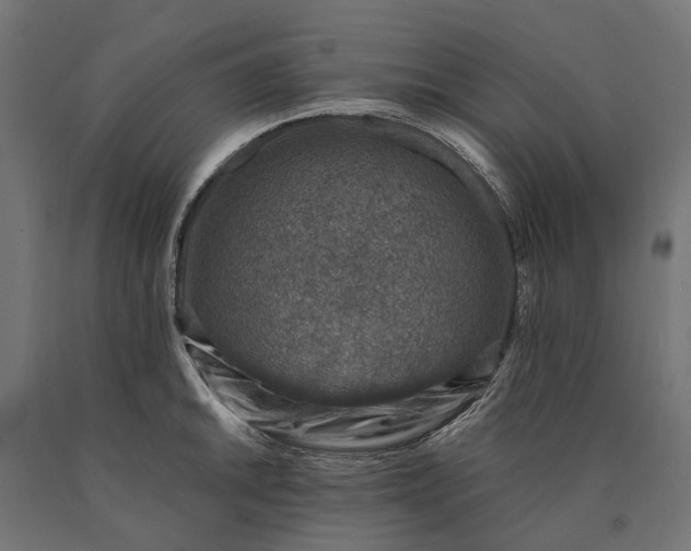 X0000090731046200708031519