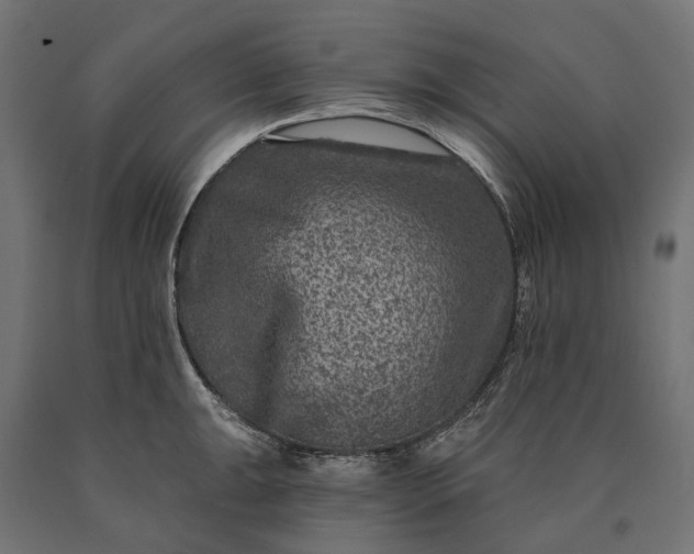 X0000090731047200708031519