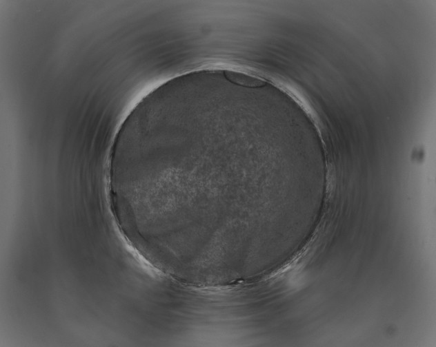 X0000090731048200708031519