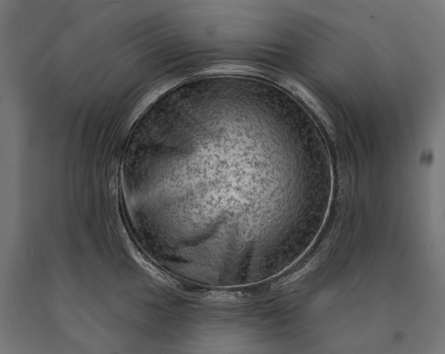 X0000090731049200708031519