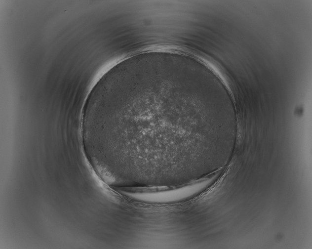 X0000090731050200708031519