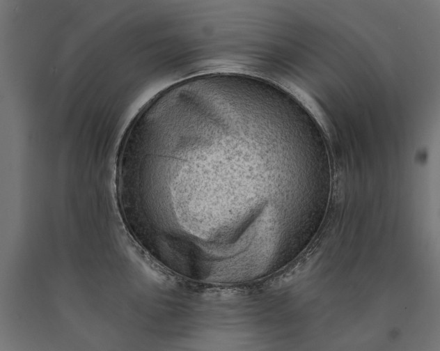 X0000090731051200708031519