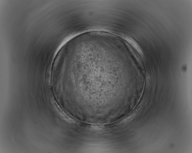 X0000090731052200708031519