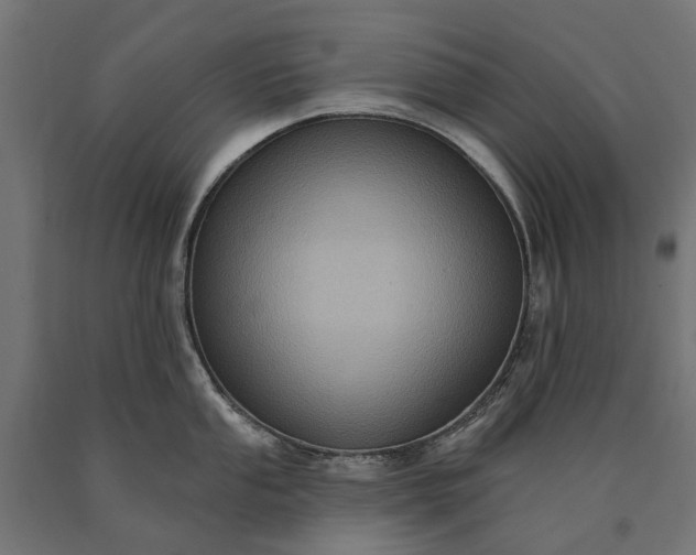 X0000090731053200708031519