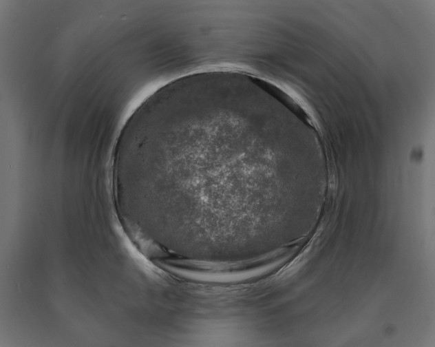 X0000090731054200708031519