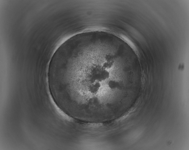 X0000090731055200708031519