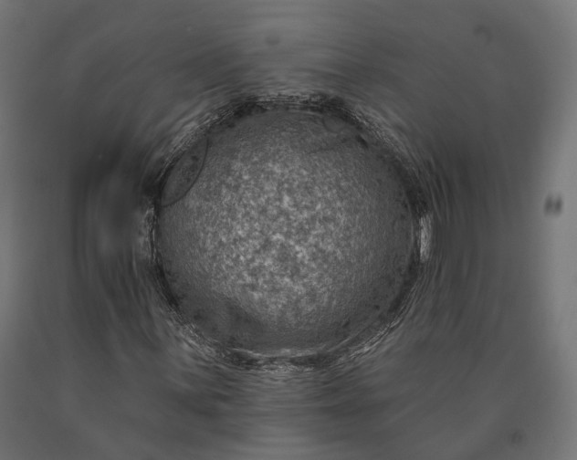 X0000090731059200708031518
