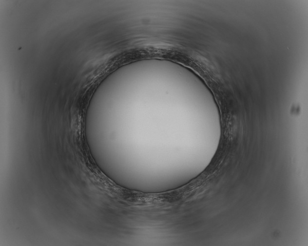 X0000090731061200708031518