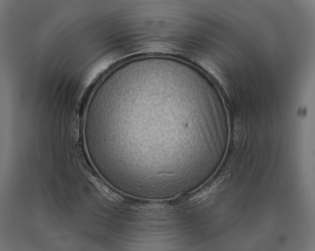 X0000090731067200708031518