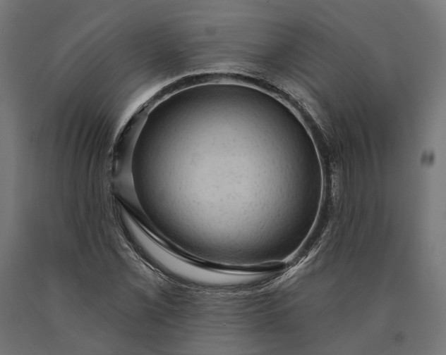 X0000090731069200708031518