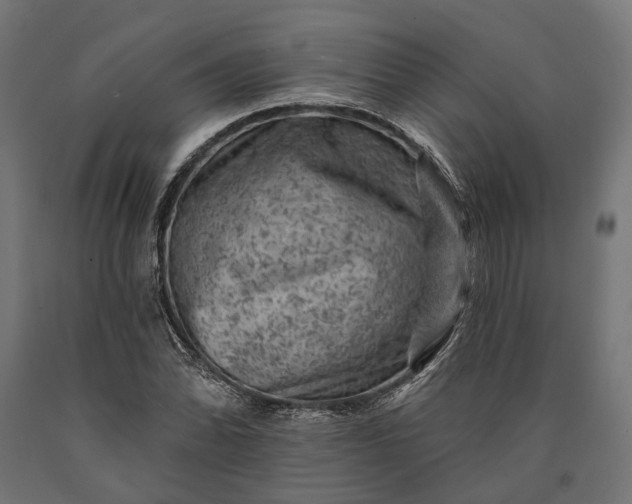 X0000090731070200708031518