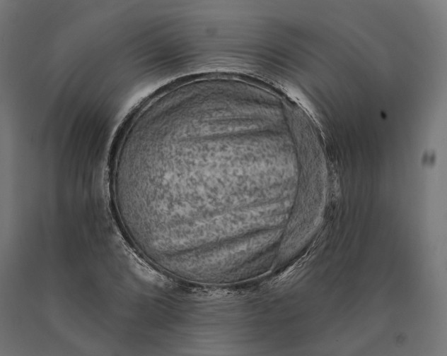 X0000090731072200708031518