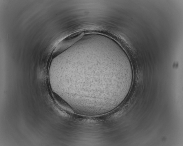 X0000090731073200708031518