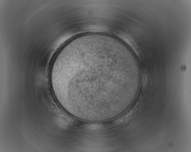 X0000090731074200708031518