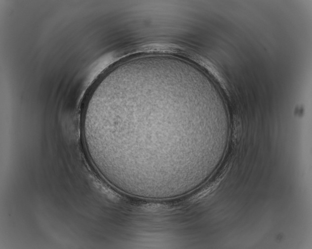 X0000090731075200708031518