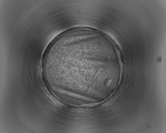 X0000090731076200708031518