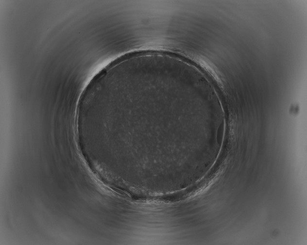 X0000090731077200708031518