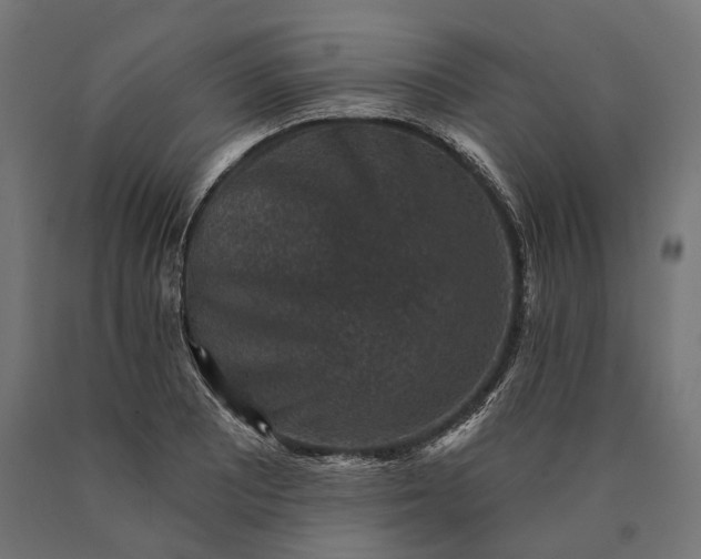 X0000090731081200708031518