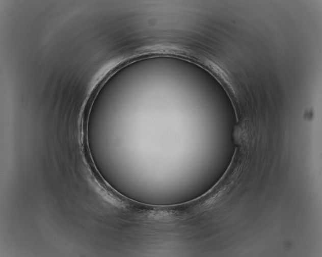 X0000090731082200708031518