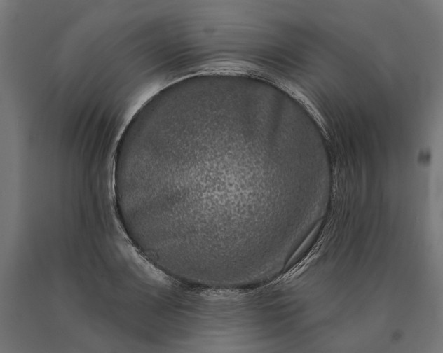 X0000090731083200708031518