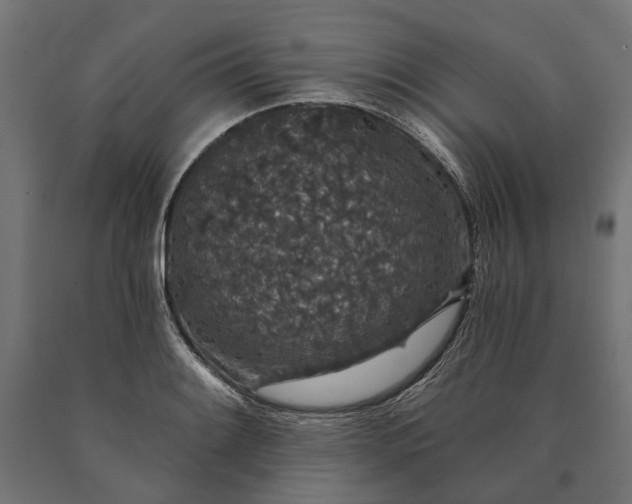 X0000090731084200708031518