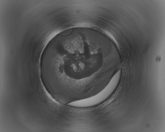 X0000090731087200708031518