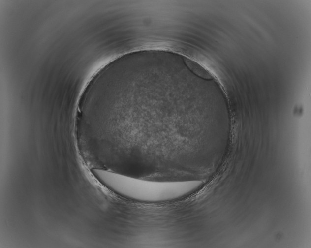 X0000090731088200708031518