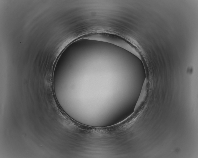 X0000090731089200708031518