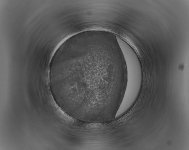 X0000090731092200708031518